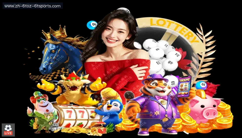 6T体育 banner