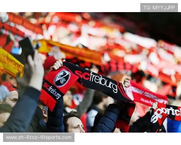 德甲联赛球队薪资排行榜及经济实力分析