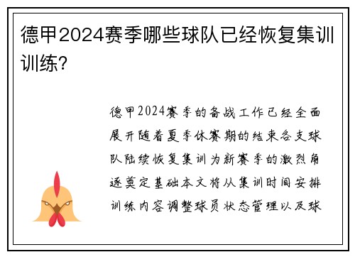 德甲2024赛季哪些球队已经恢复集训训练？